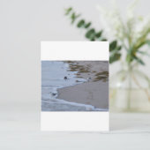 Florida Postkarte (Stehend Vorderseite)