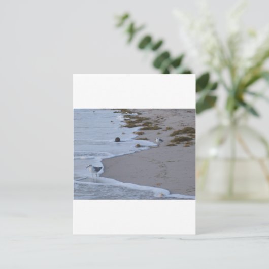 Florida Postkarte (Stehend Vorderseite)