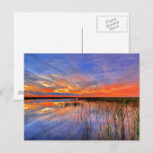 Florida Postkarte (Vorne/Hinten)