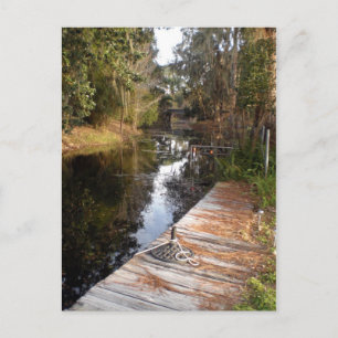 Florida Postkarte