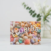Florida  postkarte (Stehend Vorderseite)
