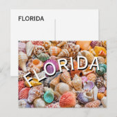 Florida  postkarte (Vorne/Hinten)