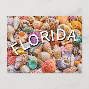 Florida postkarte