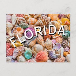 Florida postkarte