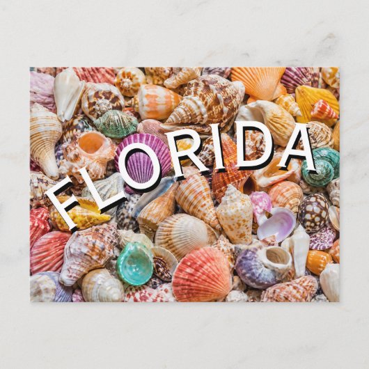 Florida  postkarte (Vorderseite)