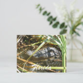 Florida Postkarte (Stehend Vorderseite)