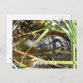 Florida Postkarte (Vorne/Hinten)