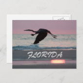 FLORIDA POSTKARTE (Vorne/Hinten)