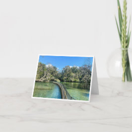 Florida Postkarte 3