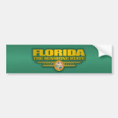 Florida Pride Autoaufkleber (Vorne)