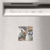 Florida-Puma Magnet (In Situ (Geschirrspüler))