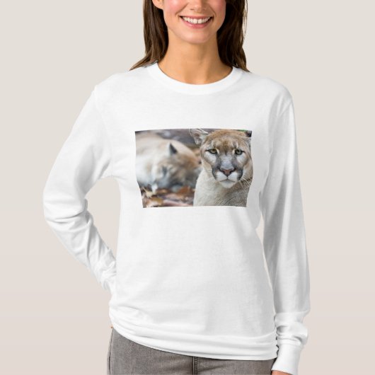 Florida-Puma T-Shirt (Vorderseite)