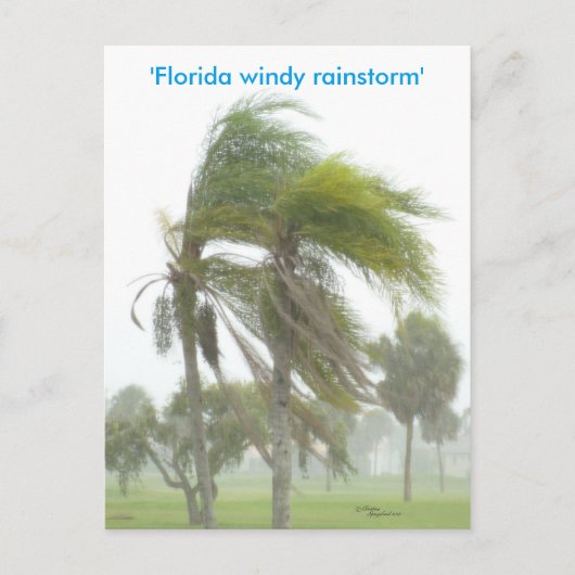 Florida Rainstorm Palmen Postkarte (Vorderseite)