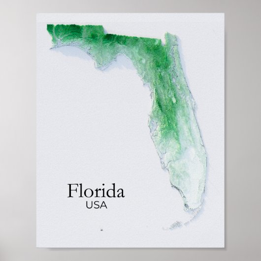 Florida Relief Map Grüne Textur Poster (Vorne)
