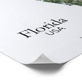 Florida Relief Map Natur Textur Poster (Ecke)
