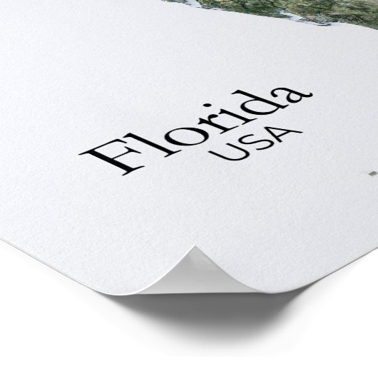 Florida Relief Map Natur Textur Poster (Ecke)
