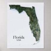 Florida Relief Map Natur Textur Poster (Vorne)