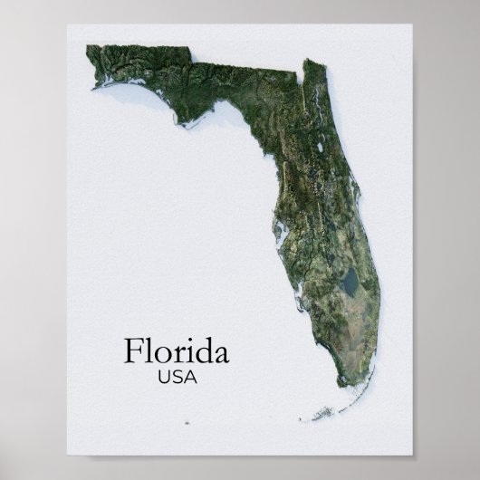 Florida Relief Map Natur Textur Poster (Vorne)