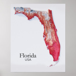 Florida Relief Map Rote Textur Poster