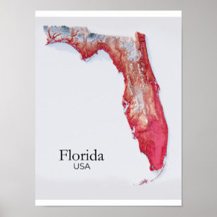 Florida Reliefkarte Rote Textur Poster