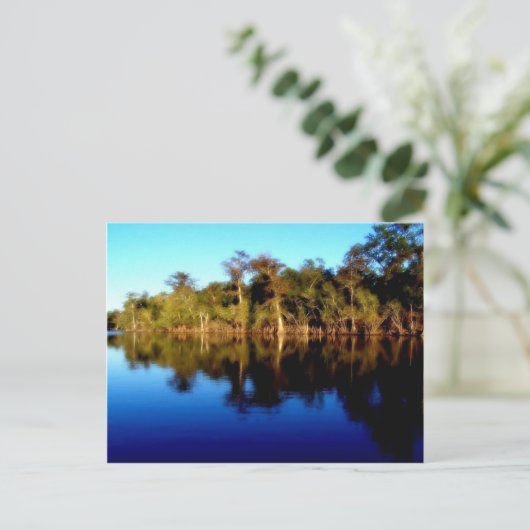 Florida River Postkarte (Stehend Vorderseite)