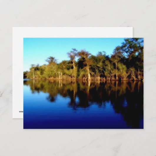 Florida River Postkarte (Vorne/Hinten)