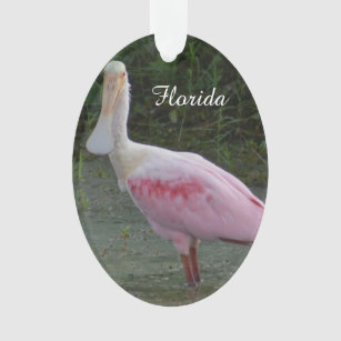 Florida rosa Spoonbill-Weihnachtsverzierung Ornament