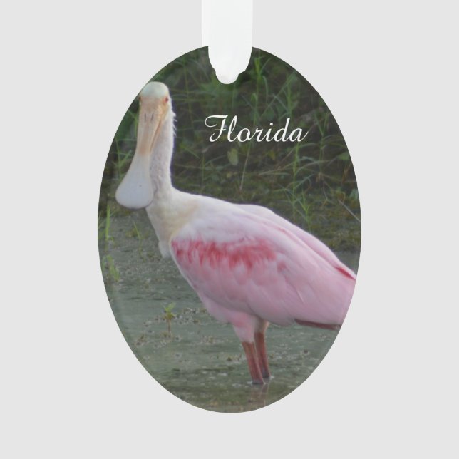 Florida rosa Spoonbill-Weihnachtsverzierung Ornament (Vorderseite)