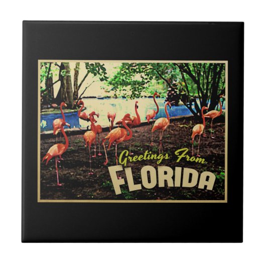Florida-Rosaflamingos Fliese (Vorderseite)
