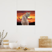 Florida Rotluchs mit atemberaubendem Sonnenunterga Poster (Küche)