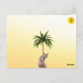 Florida Rotluchs mit atemberaubendem Sonnenunterga Postkarte (Rückseite)