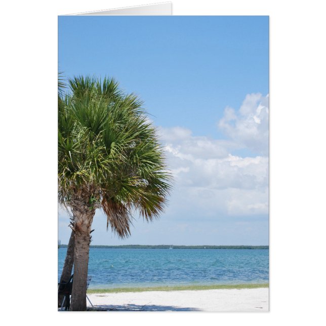 Florida - ruhiger Strand (Vorne)
