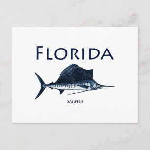 Florida Sailfish Postkarte