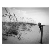 Florida Sand Dunes Fotodruck (Vorne)