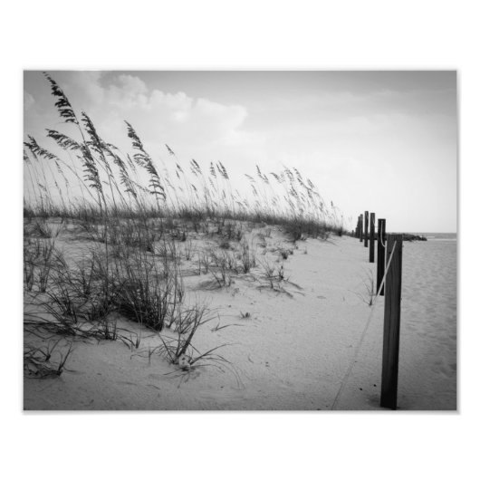Florida Sand Dunes Fotodruck (Vorne)
