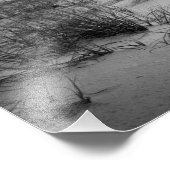 Florida Sand Dunes Fotodruck (Ecke)