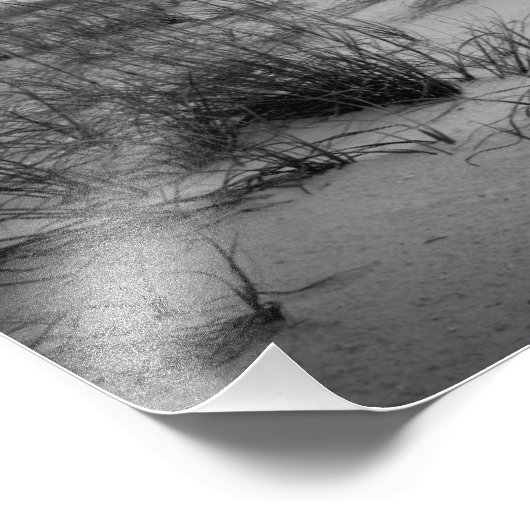 Florida Sand Dunes Fotodruck (Ecke)