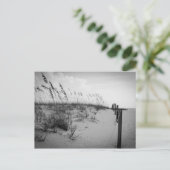 Florida Sand Dunes Postkarte (Stehend Vorderseite)