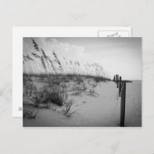 Florida Sand Dunes Postkarte (Vorne/Hinten)
