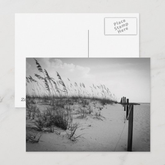 Florida Sand Dunes Postkarte (Vorne/Hinten)