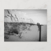 Florida Sand Dunes Postkarte (Vorderseite)