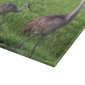 Florida-Sand-Hügel streckt Schneidebrett (Ecke)