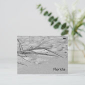 Florida Sand Postkarte (Stehend Vorderseite)