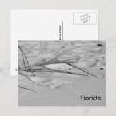 Florida Sand Postkarte (Vorne/Hinten)