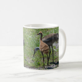 Florida Sandhill Cranes Naturfotografie Kaffeetasse