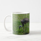 Florida Sandhill Cranes Naturfotografie Kaffeetasse (Links)