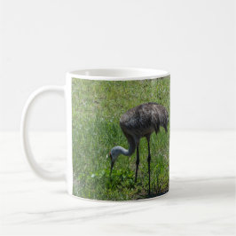 Florida Sandhill Cranes Naturfotografie Kaffeetasse