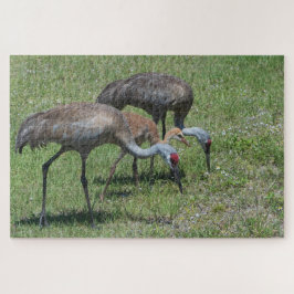 Florida Sandhill Cranes Wandern auf dem grünen Fel Puzzle