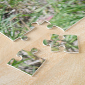 Florida Sandhill Cranes Wildlife Foto Puzzle (Seite)