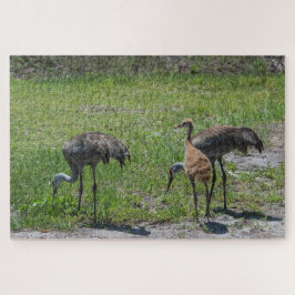 Florida Sandhill-Krane in Grünfeldfotografie Puzzle